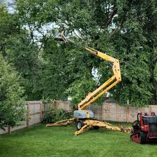 Best Storm Damage Tree Cleanup  in Clton, IN